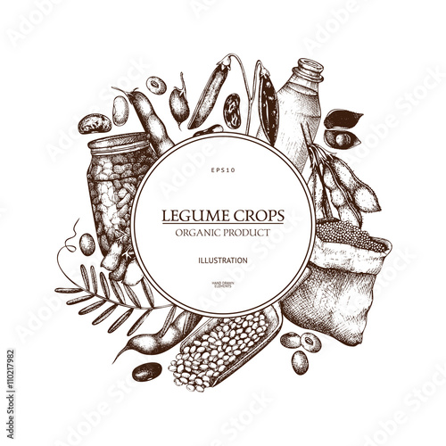 Vector design with ink hand drawn legume crops sketches. Vintage illustration with legumes and legume products. Farm fresh and organic food template.