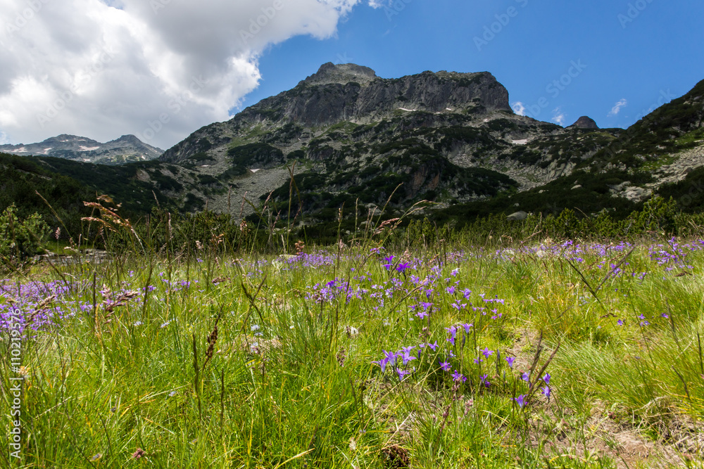 Obraz premium Pirin Mountain Landscape, Bulgaria