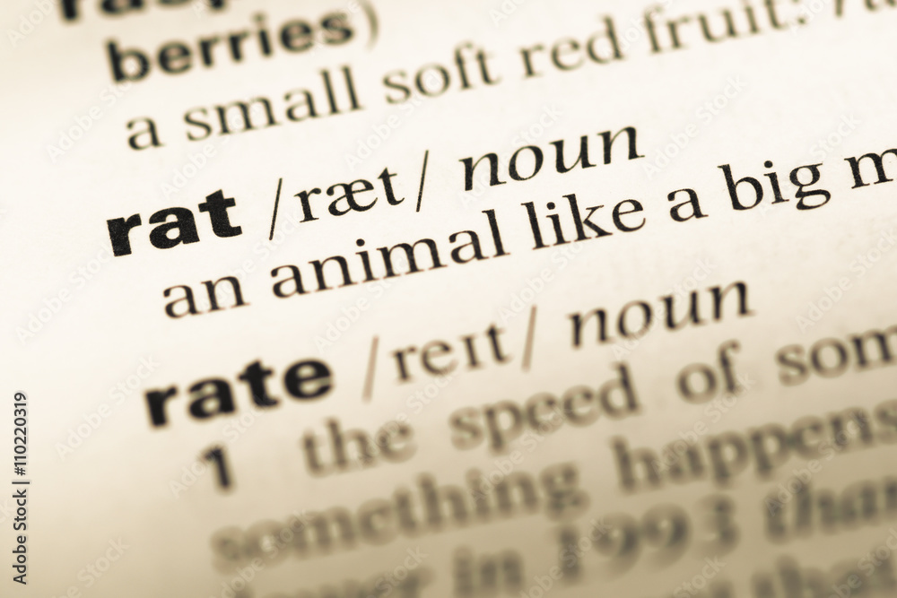 Close up of old English dictionary page with word rat Close up of old English dictionary page with word rat