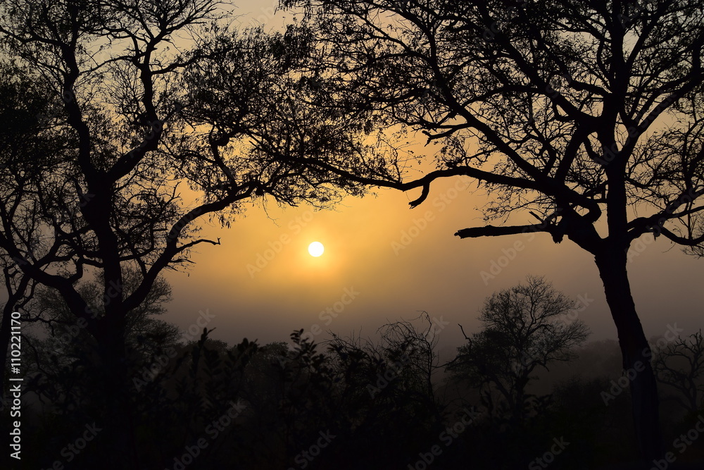 Sunrise with mist in the African Bush Sunrise with mist in the African Bush
