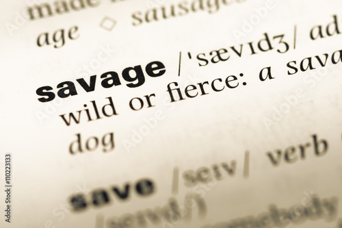 Close up of old English dictionary page with word savage