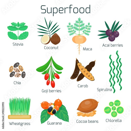 Superfood set. Collection of super food. Healthy products for vegan. Vector illustration. Flat style