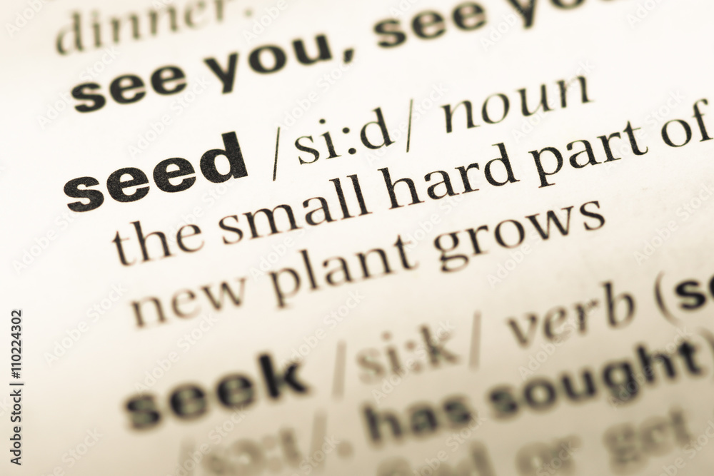 Obraz premium Close up of old English dictionary page with word seed