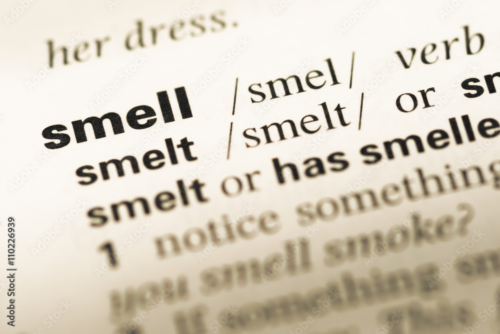 Close up of old English dictionary page with word smell Close up of old English dictionary page with word smell