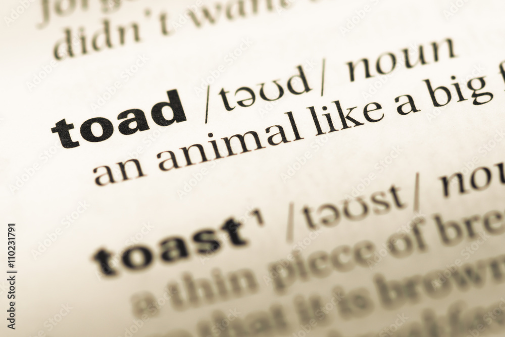 Close up of old English dictionary page with word toad Close up of old English dictionary page with word toad