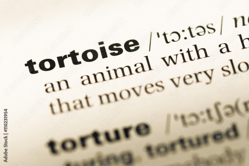 Close up of old English dictionary page with word tortoise Close up of old English dictionary page with word tortoise
