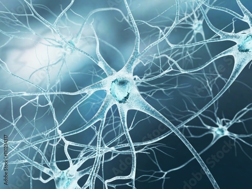 Nerve cell, artwork
