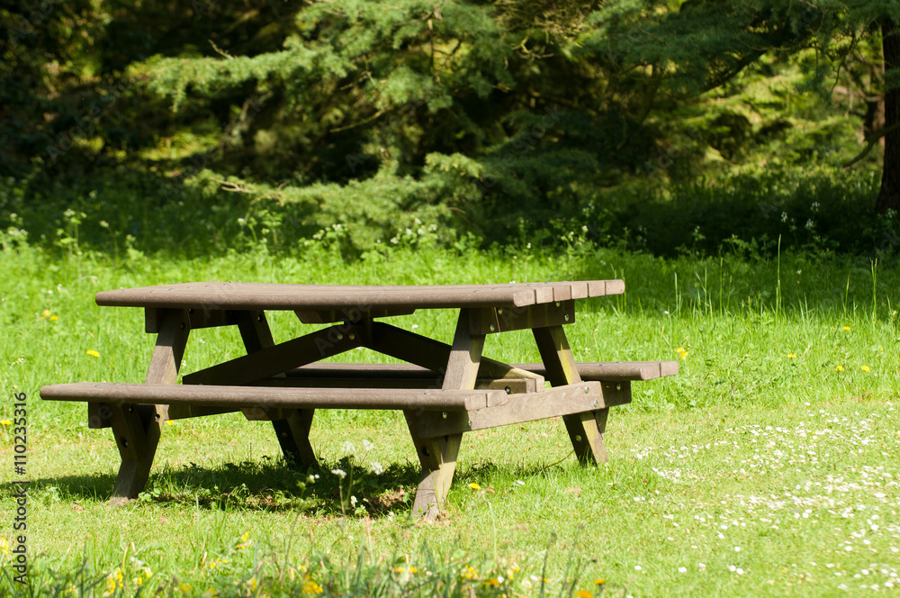 Picnic table in a sunny forest clearing Picnic table in a sunny forest clearing