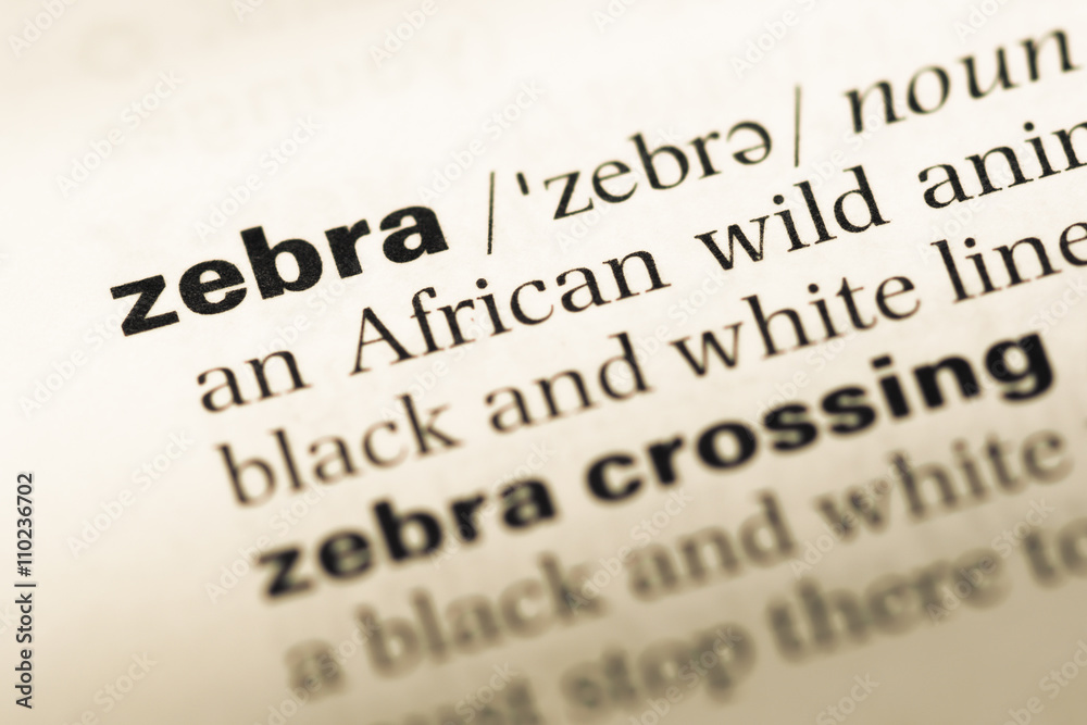 Close up of old English dictionary page with word zebra