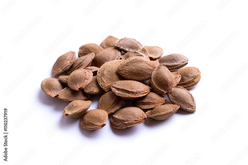 apricot pits - isolated apricot pits - isolated