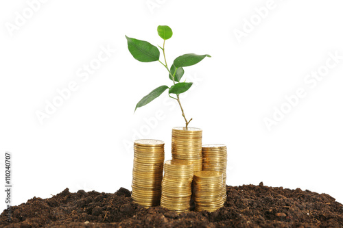 Stacks of coins in soil with young plant isolated on white