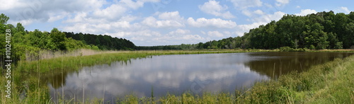Pond in Mississippi in May photo