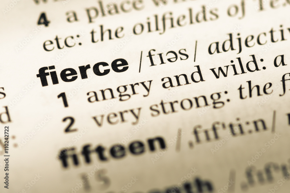 fierce meaning  definition of fierce at