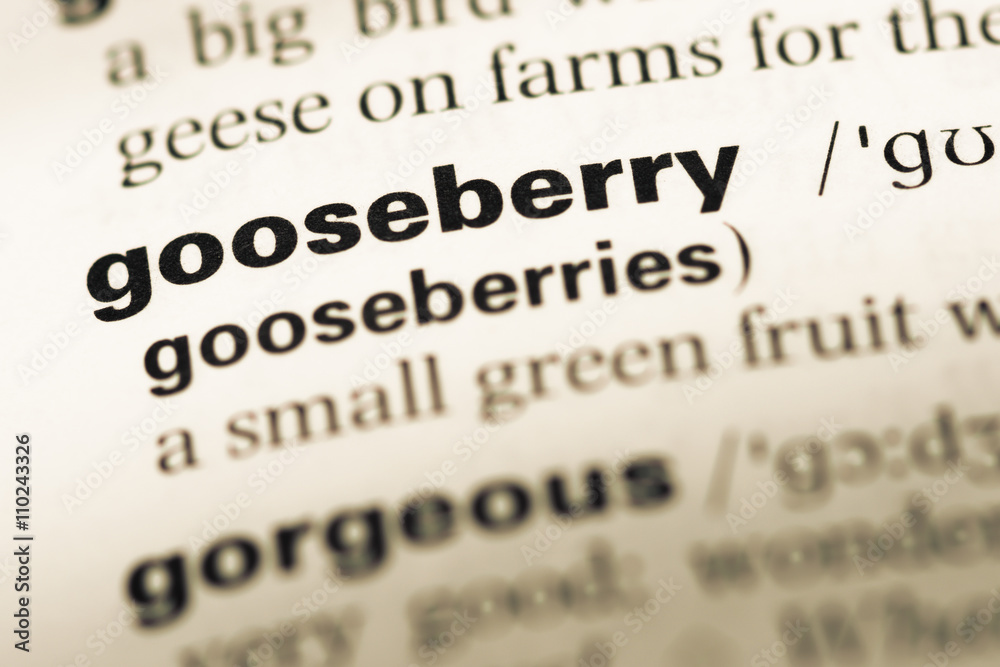 Close up of old English dictionary page with word gooseberry Close up of old English dictionary page with word gooseberry