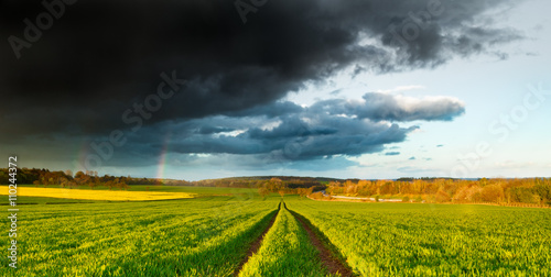 Rainy Dramatic Clouds and Rainbow over Fresh Green Spring Field photo