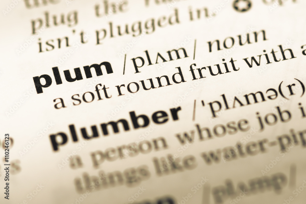Close up of old English dictionary page with word plum Close up of old English dictionary page with word plum