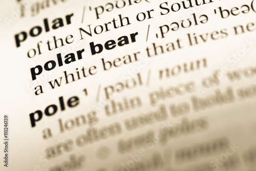 Close up of old English dictionary page with word polar bear