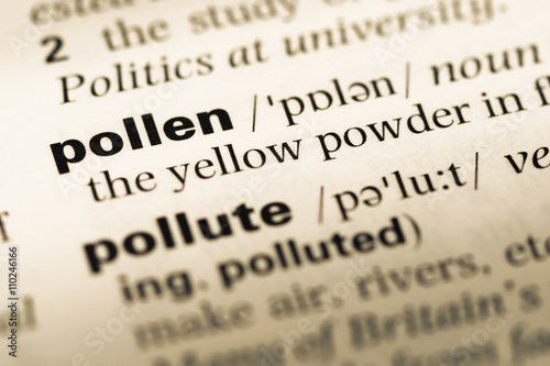 Close up of old English dictionary page with word pollen