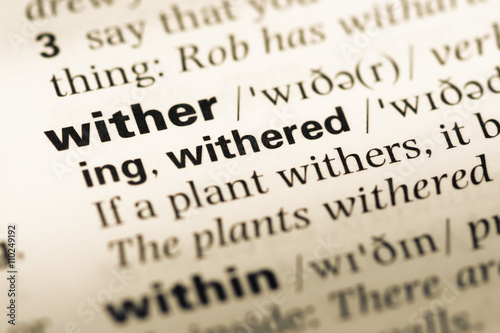 Close up of old English dictionary page with word wither