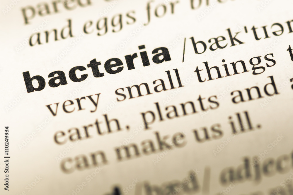Close up of old English dictionary page with word bacteria Close up of old English dictionary page with word bacteria