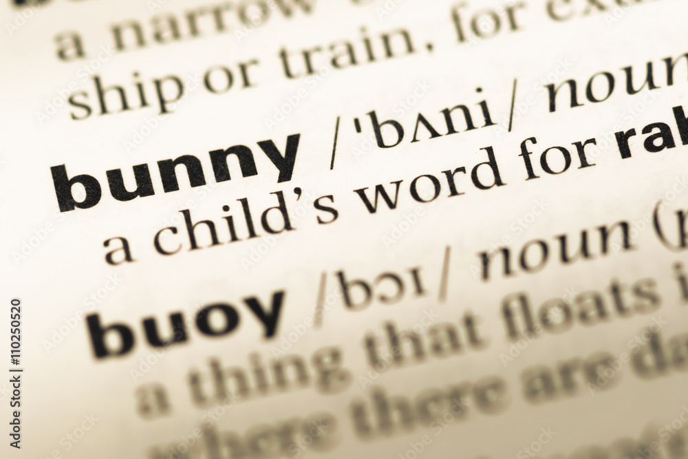 Close up of old English dictionary page with word bunny Close up of old English dictionary page with word bunny