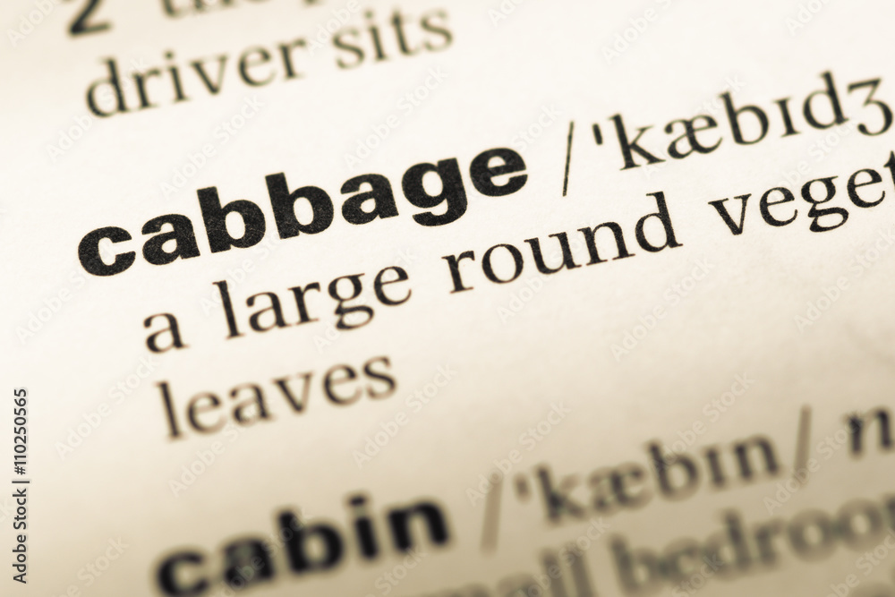 Close up of old English dictionary page with word cabbage Close up of old English dictionary page with word cabbage