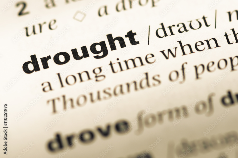 Obraz premium Close up of old English dictionary page with word drought
