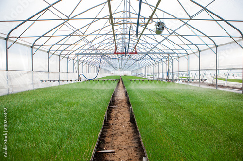 Greenhouse watering system in action