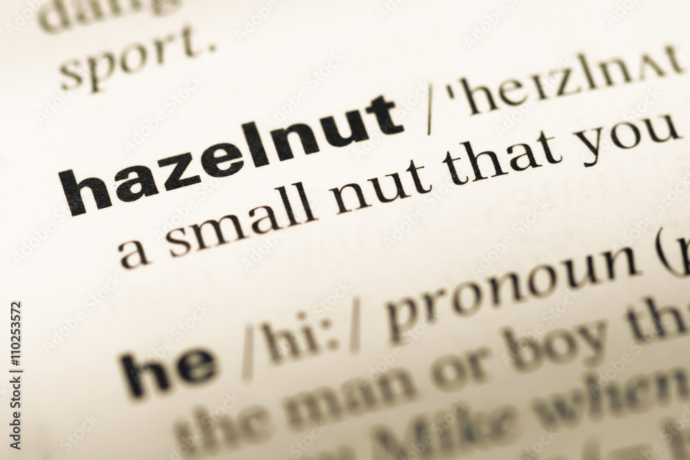 Close up of old English dictionary page with word hazelnut Close up of old English dictionary page with word hazelnut