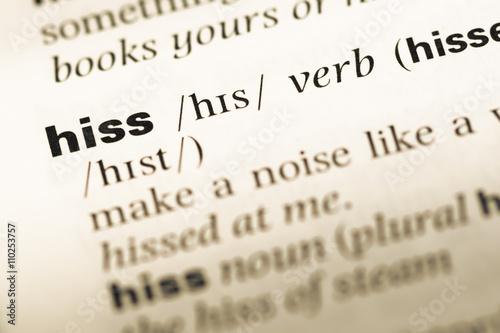 Close up of old English dictionary page with word hiss