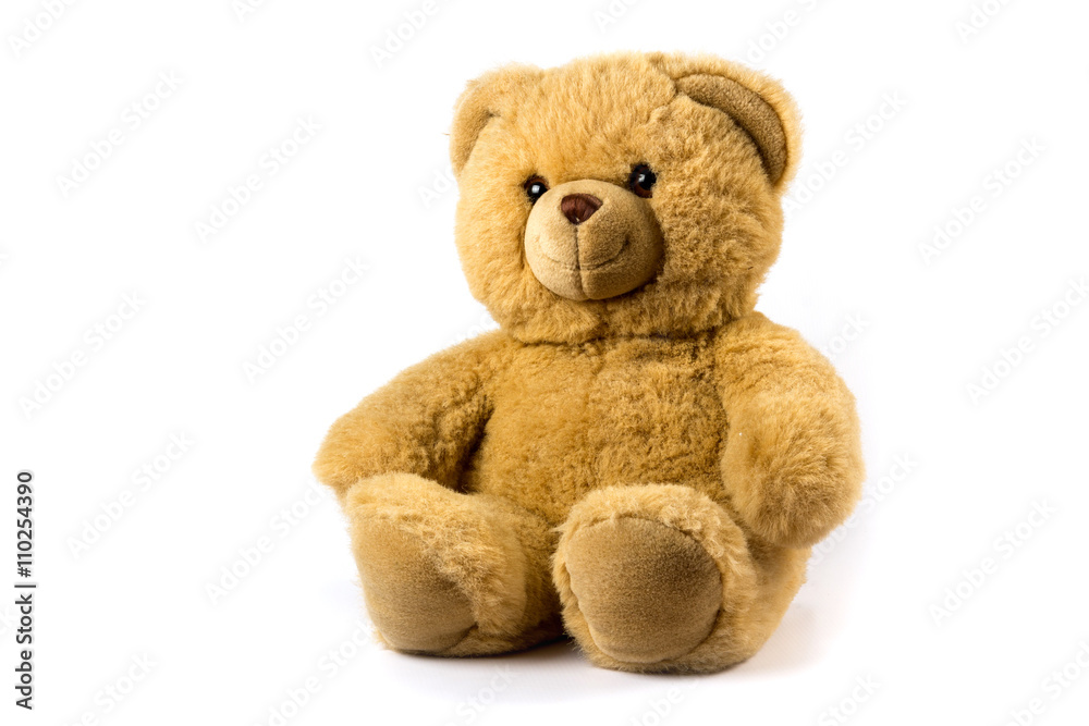 Fototapeta premium Soft children's toy