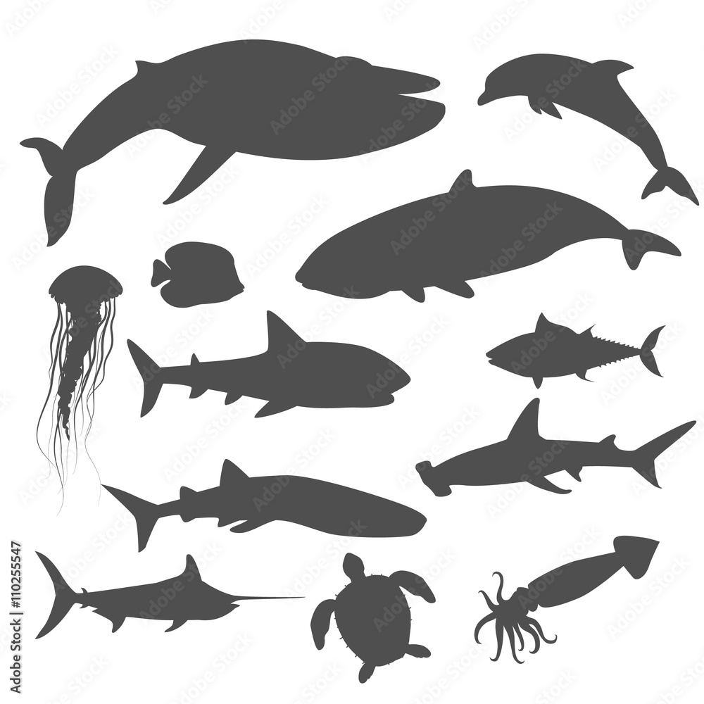 Marine Fauna Set of Aquatic Animals Marine Fauna Set of Aquatic Animals
