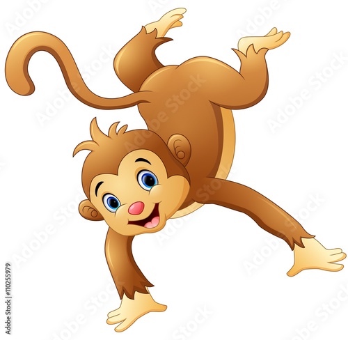 Dancing Monkey on white background
