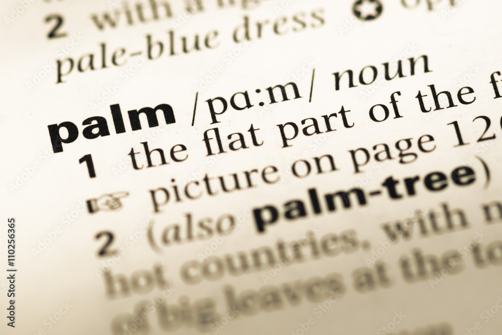 Close up of old English dictionary page with word palm Close up of old English dictionary page with word palm