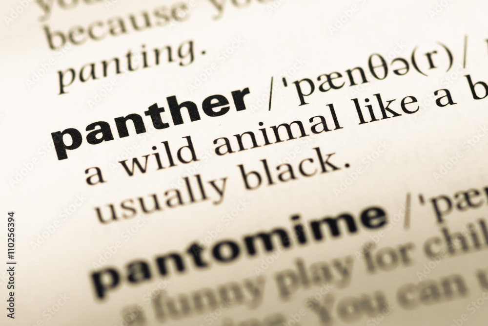 Close up of old English dictionary page with word panther Close up of old English dictionary page with word panther