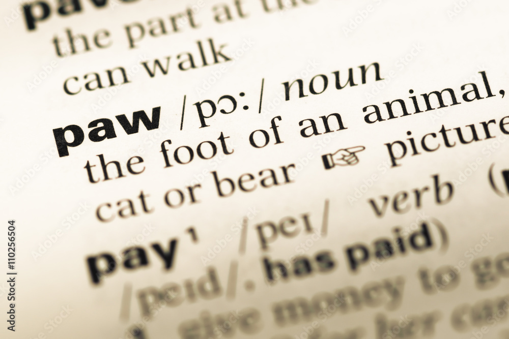 Close up of old English dictionary page with word paw Close up of old English dictionary page with word paw
