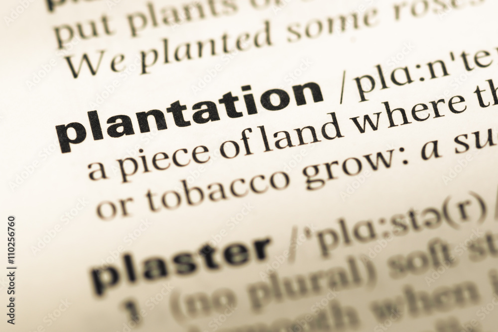 Close up of old English dictionary page with word plantation Close up of old English dictionary page with word plantation