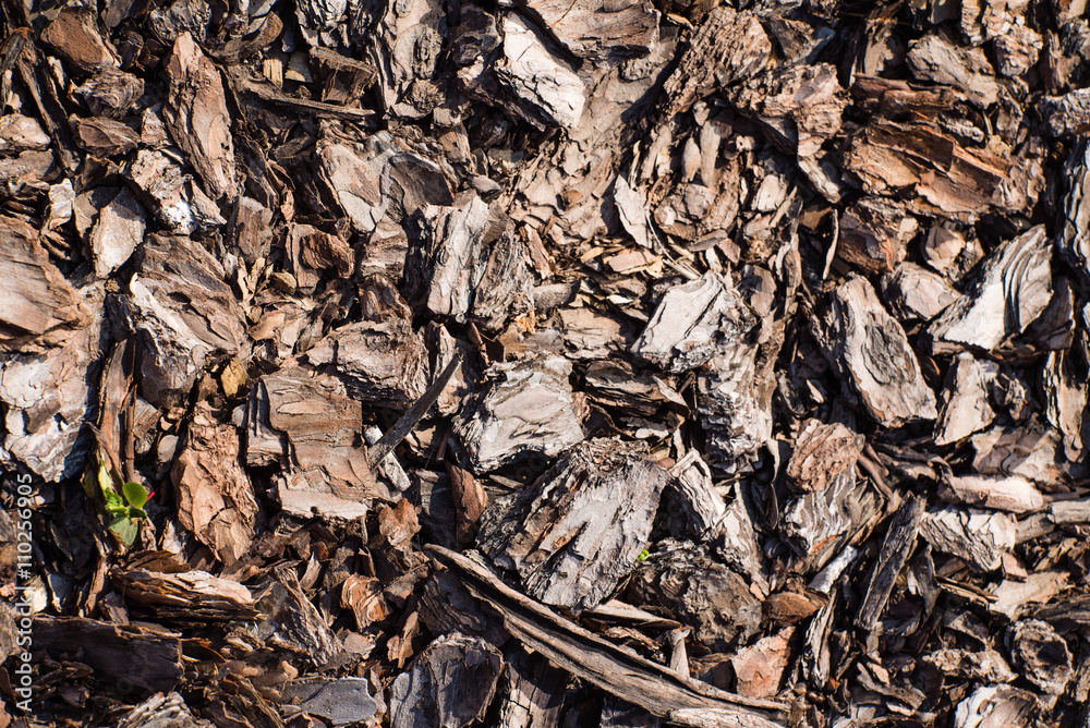 wood background wood background