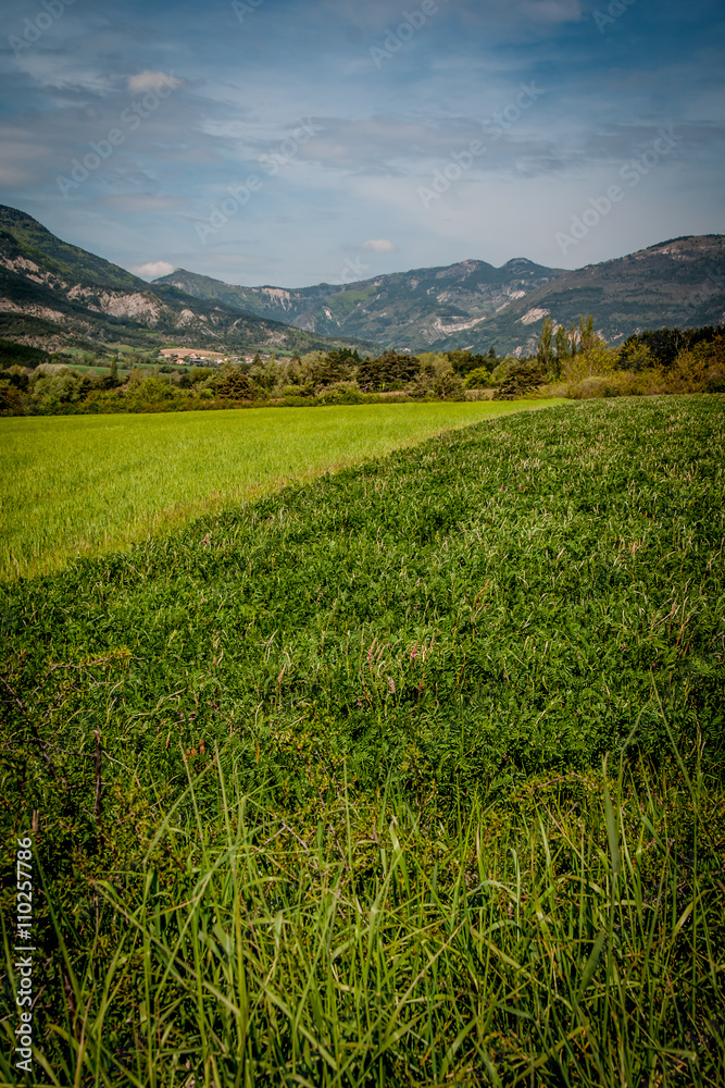 culture différentes - campagne Hautes Alpes - France