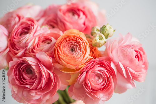 Canvas Print bunch of pale pink ranunculus persian buttercup  light background, wooden surface