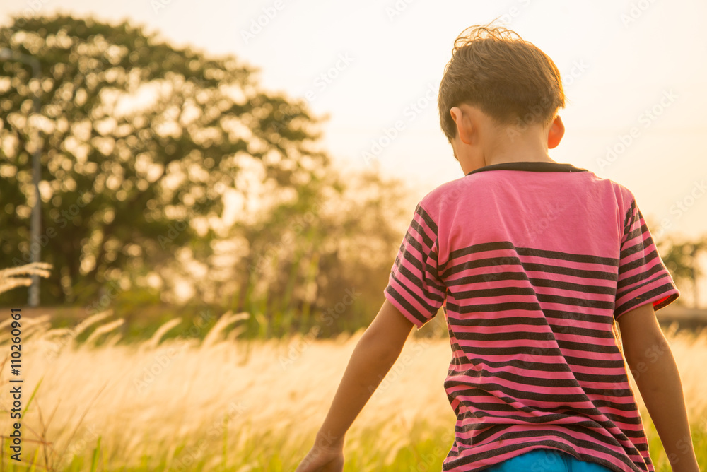 Little boy walking on sunset with golden grasses field