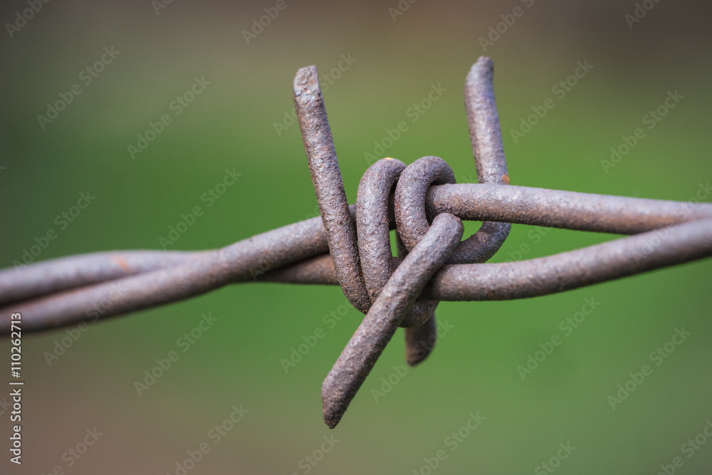 Sharp Twisted Barbed Fence Sharp Twisted Barbed Fence