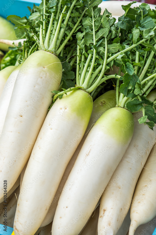 Daikon Stock Photo Adobe Stock