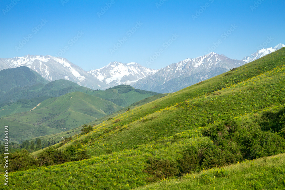 Beautiful mountain landscape. Snowy peaks, green fields and heav