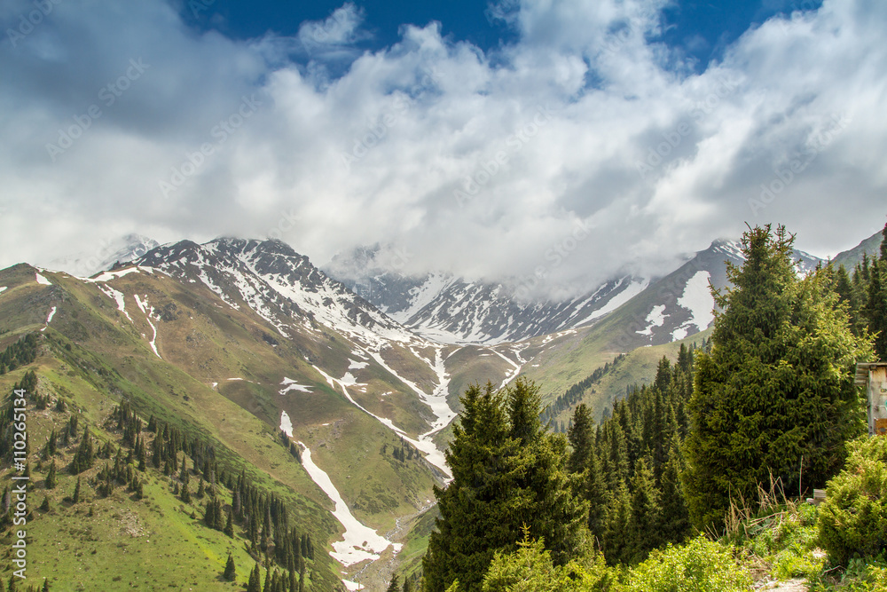 Fototapeta premium Beautiful mountain landscape. Snowy peaks, green fields and heav