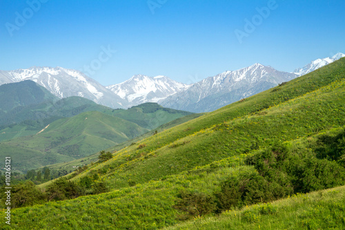 Beautiful mountain landscape. Snowy peaks, green fields and heav