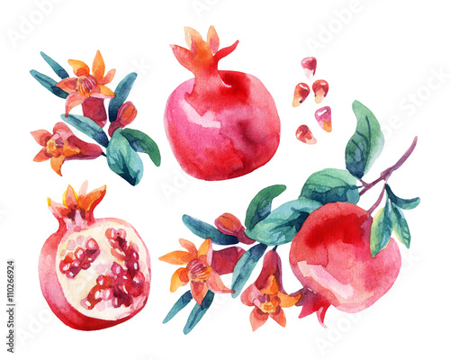 Watercolor pomegranate bloom branches and fruit set photo