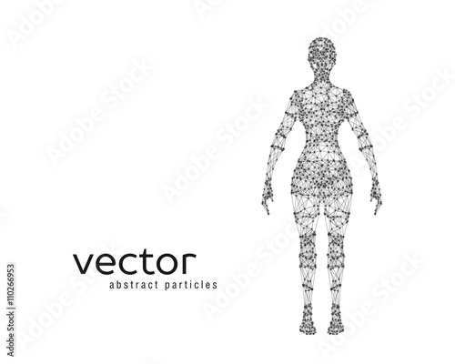 Vector illustration of female body