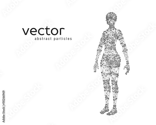Vector illustration of female body
