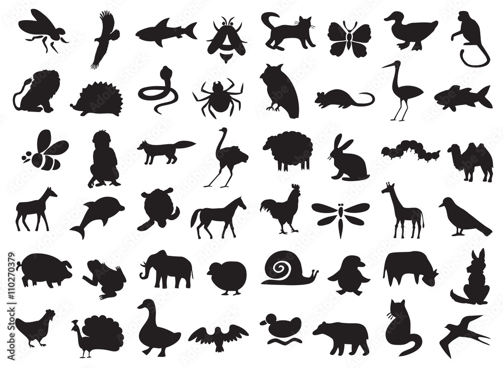 Obraz premium animals silhouettes set
